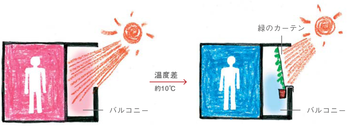 緑のカーテンが涼しいわけ