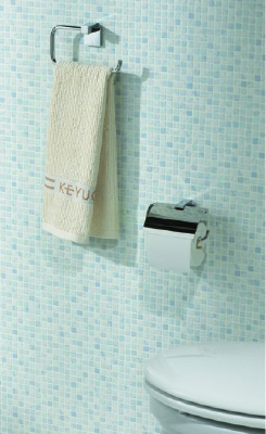 toilet_role_image1