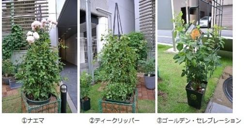 クラブエスタファームの新しい仲間たち Webコラム 商品案内 杉田エース株式会社 クラブエスタファームの新しい仲間たち Webコラム 商品案内 杉田エース株式会社