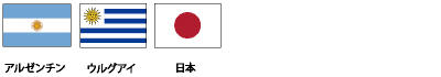 flag_04